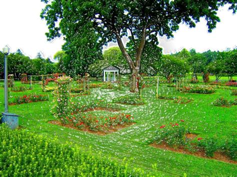 Allentown Rose Garden 4 By Art137 On Deviantart