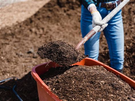 We Reviewed The 4 Most Popular Home Compost Machines Heres How They