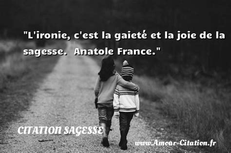 Lironie Cest La Gaieté Et La Joie De La Sagesse Anatole France Une