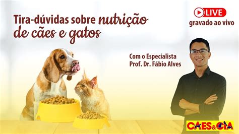 Live Nutri O De C Es E Gatos Dr Fabio Alves Teixeira Youtube