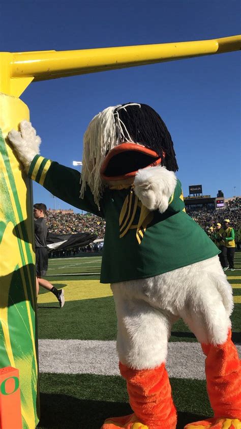 The Oregon Duck Theoregonduck Twitter Oregon Ducks Logo Oregon