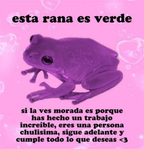 Esta Rana Es Verde Si La Ves Morada Es Porque Has Hecho Un Trabajo