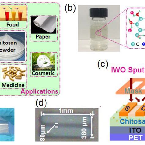 A Schematic Diagram For Chitosan Powder And Its Applications B The