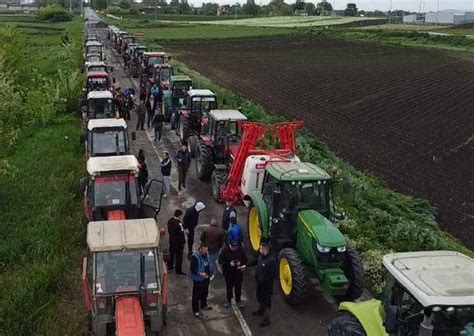 Protest Poljoprivrednika U Podne Pretnje Jednom Od Organizatora Agro