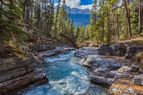 Jasper Icefields Parkway Self Guided Driving Audio Tour GetYourGuide