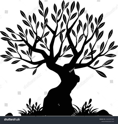 12 025 Olive Tree Silhouette Stock Vectors And Vector Art Shutterstock