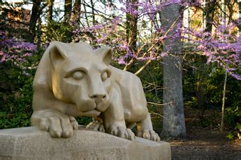 Nittany Lion Shrine Photos by William Ames