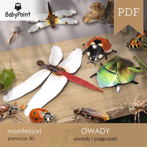 OWADY Owady 3D BabyPoint