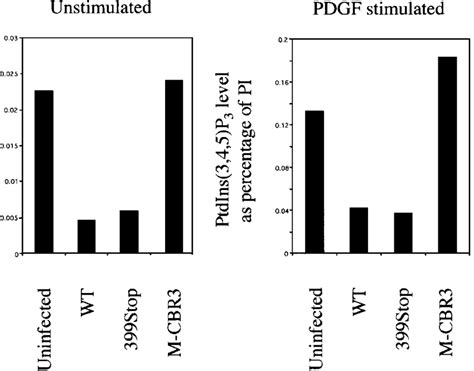 Effect Of PTEN Expression On Cellular Levels Of PtdIns 3 4 5 P 3 U87MG