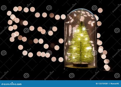 Christmas Tree And Celebrate Lights In Snow Globe And Copy Space Stock