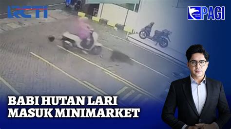 Ngeri Ada Babi Masuk Minimarket Dan Ular Lilit Warga Sis Youtube