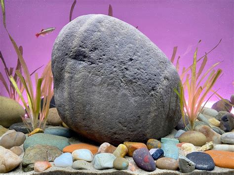 Extra Large Aquarium Rock Natural Decor For Aquascaping Etsy