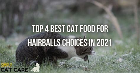 4 Best Cat Food For Hairballs Choices 2022 Simply Cat Care