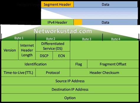 An Illustration Of Ip Packet Structure Wiremystique