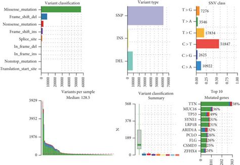 Somatic Mutation Summary Plots And Oncoplots Between The A B High