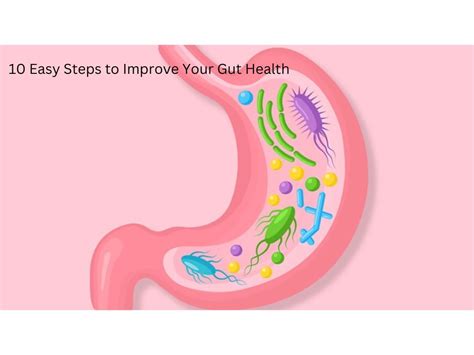 10 Easy Steps To Improve Your Gut Health