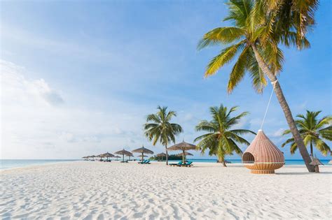 Veligandu Island Resort And Spa Updated 2024 Prices Maldives