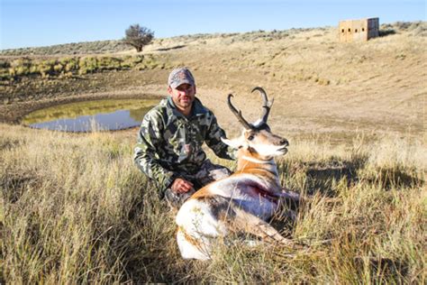 Colorado Antelope Hunting Antelope Hunts In Colorado