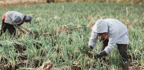 MinAgricultura anuncia reducción de tasas de interés en línea de