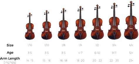 How to Choose the Correct Violin Size? - Blog - HB School of Music