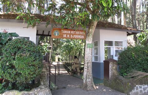 pesona bandung taman hutan raya tahura djuanda