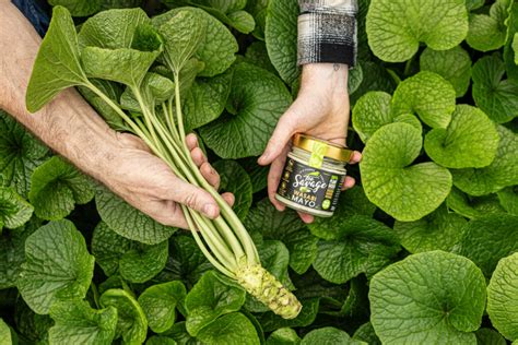 Too Savage Launches Plant Based Wasabi Mayo Produced Using