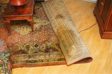 Cleaning A Persian Carpet from Dog Accidents by the PetPeePee company