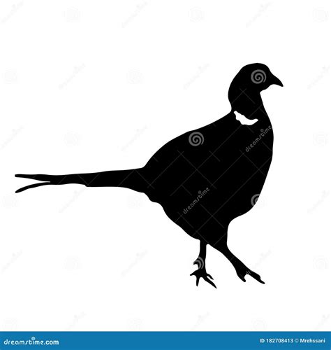 Silhouette Of Pheasant Cartoon Vector Cartoondealer