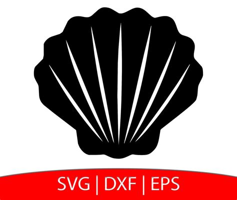 Seashell Svg Shell Dxf Sea Shell Eps Shellfish Svg Beach Etsy