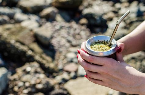 How To Prepare Yerba Maté Tea — 4 Best Methods