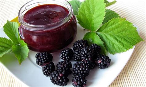 Mermelada De Moras Receta Cocina Hogarmania