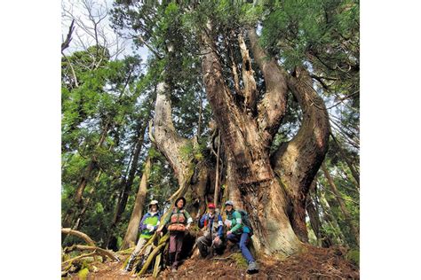 「芦生の森」でトレッキング 美山町自然文化村 河鹿荘 リビング京都