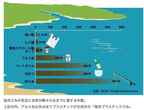 海洋プラスチックごみの現状を伝える7枚の衝撃写真と驚愕データ 歴史未来ラボ