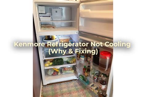 Kenmore Refrigerator Not Cooling Why Fixing PuNk PrOjEcT