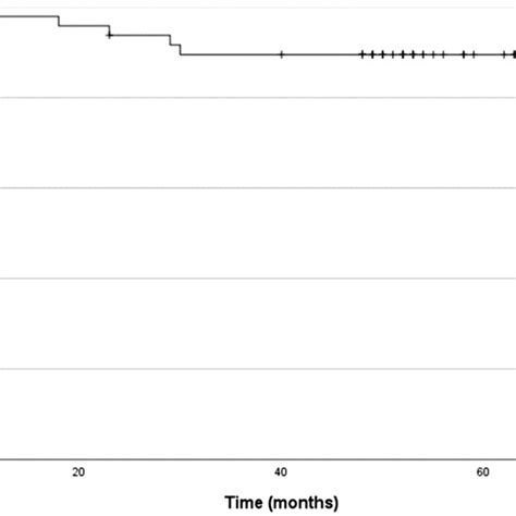 Implant Survival Kaplanmeier Survivorship Curve For Implant