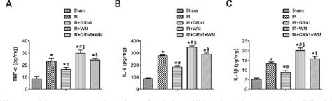 Figure From Ginsenoside Rb Attenuates Intestinal Ischemia