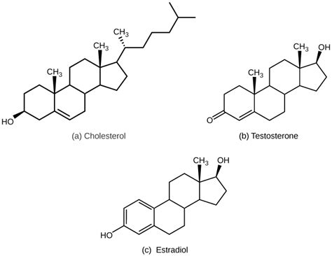 Types Of Hormones · Biology