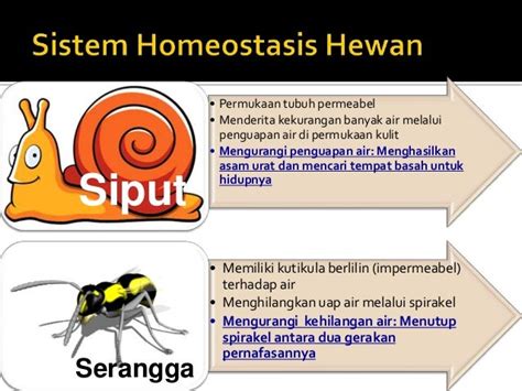 Sistem Homeostatis Hewan Dan Tumbuhan