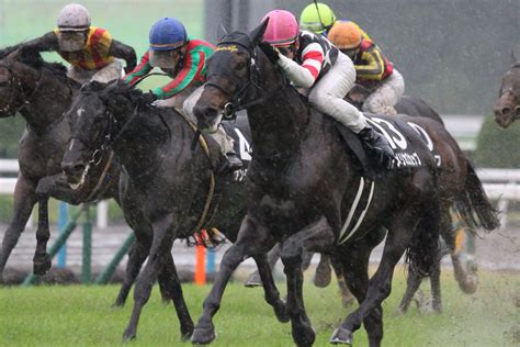 京都金杯2018の競馬予想データ分析3つの消しで好走率5割超、回収率185超