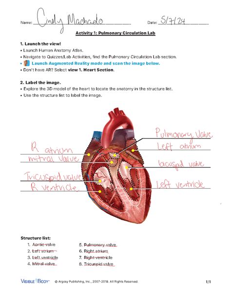 Pulmonary Lab Activity Edited © Argosy Publishing Inc 2007 2018 All Rights Reserved