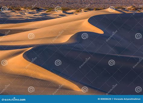 Ondas De La Arena Encima De Las Dunas Salida Del Sol Desierto En El