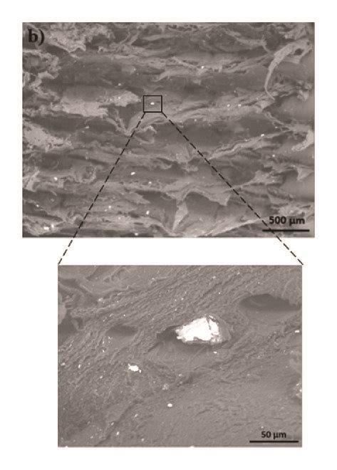 Sem Micrographs Of Tensile Specimens Fabricated From Abssebs G Ma