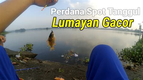 Perdana Mancing Di Tanggul Waduk Cengklik Lumayan Gacor Juga Gaes