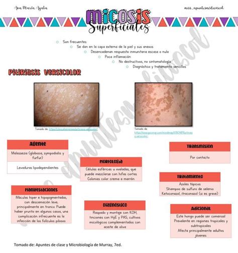 Micosis superficiales miss apuntesmédicoscol uDocz