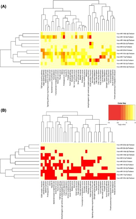 Kegg Pathways Enriched Analysis For Eleven Differentially Expressed