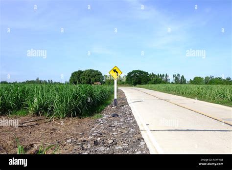 Left Curved Arrow Symbol Traffic Stock Photo Alamy