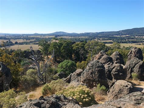 Hanging Rock And Summit Walk Mums Little Explorers