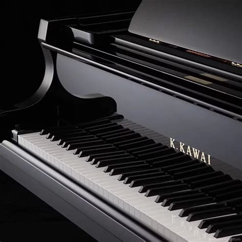 Nuovo Shigeru Kawai SK 5 102 Cm Levallois Perret Mesi Di Garanzia