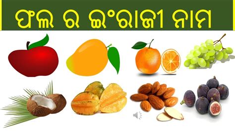 Fruits Name In Odia And English Fruits Name English Odia Fruits