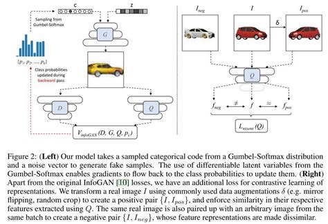 Unsupervised Disentangled Representation Learning In Class Imbalanced